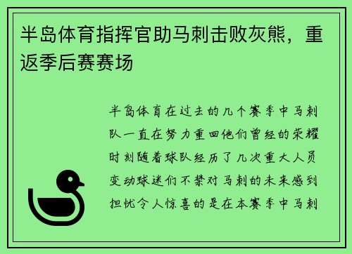 半岛体育指挥官助马刺击败灰熊，重返季后赛赛场